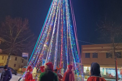 IMG-20231209-WA0205